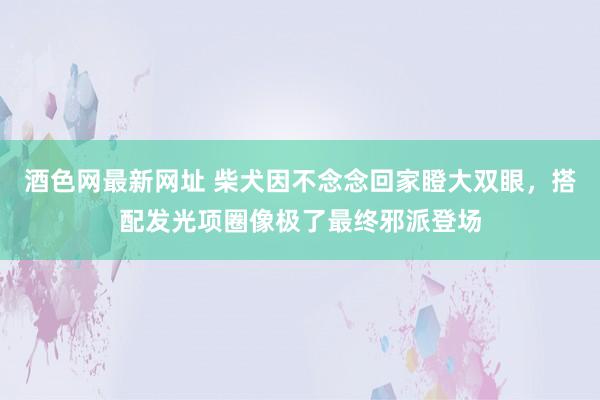 酒色网最新网址 柴犬因不念念回家瞪大双眼，搭配发光项圈像极了