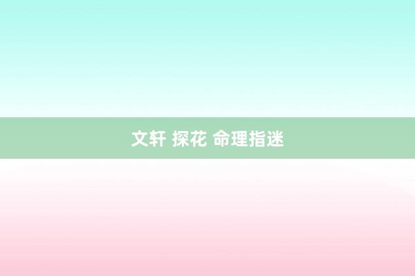 文轩 探花 命理指迷